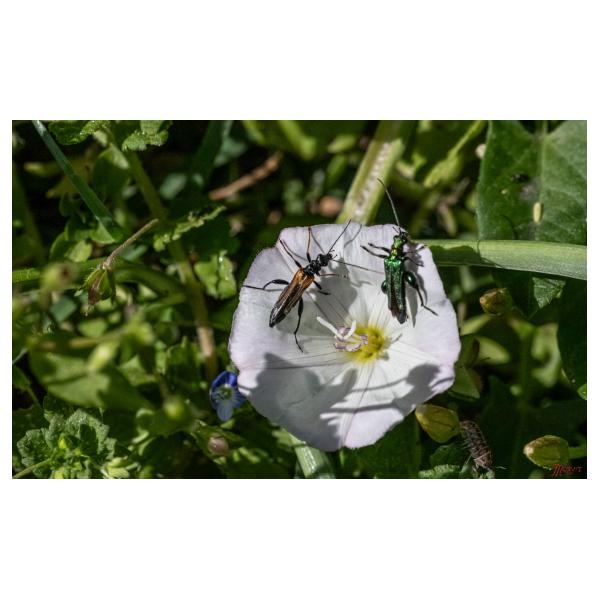 PHOTO84, CLUB, 84 , LUBERON